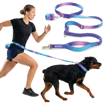 Spark Paws Hands-Free Dog Leash with Shock Absorbing Bungee, Car Seatbelt Clip, and Poop Bag Set - Heavy Duty Tactical Lead for Medium to Extra-Large Breeds