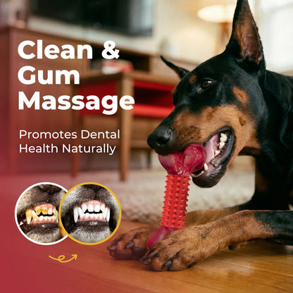 Apasiri Indestructible Chew Toy for Large Breeds - Durable Interactive Toy for Strong Dogs, Ideal for Teeth Grinding and Playtime